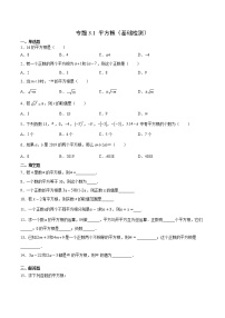 专题3.1 平方根（基础检测）- 2022-2023学年七年级数学上册拔尖题精选精练（浙教版）