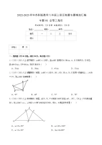 专题01 全等三角形-【挑战压轴题】2022-2023学年八年级数学上册压轴题专题精选汇编（苏科版）