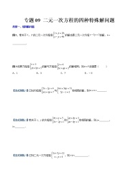 专题09 二元一次方程特殊解问题-【B卷常考】2022-2023学年八年级数学上册压轴题攻略（北师大版，成都专用）