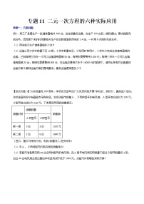 专题11 二元一次方程的六种实际应用-【B卷必考】2021-2022学年八年级数学上册压轴题攻略（北师大版，成都专用）