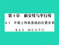 湘教版七年级下册4.1.1相交与平行习题ppt课件