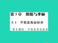 初中数学湘教版八年级下册3.1 平面直角坐标系习题课件ppt