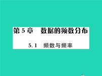 初中数学湘教版八年级下册5.1 频数与频率习题课件ppt
