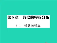 初中数学湘教版八年级下册5.1 频数与频率习题课件ppt