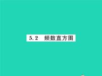 湘教版八年级下册5.2 频数直方图习题课件ppt