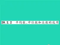 华师大版八年级下册2.平均数、中位数和众数的选用习题课件ppt