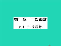 北师大版九年级下册1 二次函数习题ppt课件