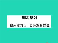 2022九年级数学下册期末复习1实数及其运算习题课件新版北师大版