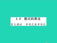 初中4 整式的乘法习题ppt课件