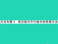 北师大版七年级下册3 平行线的性质习题ppt课件