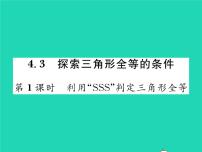 初中数学3 探索三角形全等的条件习题ppt课件