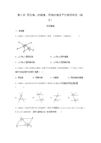 第6讲 同位角、内错角、同旁内角及平行线的判定（练习）- 2022年春季七年级数学辅导讲义（沪教版）