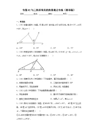 专题02 与三角形有关的角重难点专练- 2022-2023学年八年级上册数学专题训练（人教版）