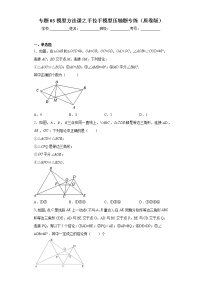 专题03模型方法课之手拉手模型压轴题专练- 2022-2023学年八年级上册数学专题训练（人教版）