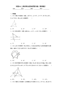 专题04 三角形单元综合提优专练- 2022-2023学年八年级上册数学专题训练（人教版）