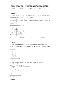 专题07模型方法课之互补型旋转解题方法专练- 2022-2023学年八年级上册数学专题训练（人教版）