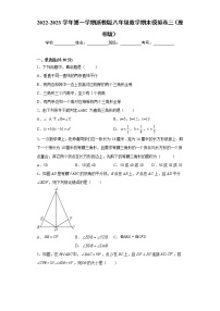 八年级数学期末模拟卷三- 2022-2023学年八年级数学上册专题训练（浙教版）