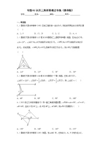 专题01 认识三角形重难点专练- 2022-2023学年八年级上册数学专题训练（浙教版）