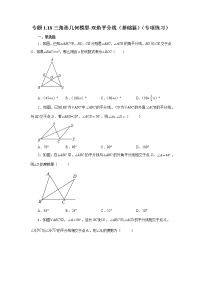 专题1.18 三角形几何模型-双角平分线（基础篇）（专项练习）-2022-2023学年八年级数学上册基础知识专项讲练（浙教版）