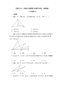 专题1.19 三角形几何模型-双角平分线（培优篇）（专项练习）-2022-2023学年八年级数学上册基础知识专项讲练（浙教版）