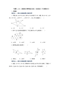 专题1.29 三角形全等判定方法1-边边边(专项练习)-2022-2023学年八年级数学上册基础知识专项讲练(浙教版)