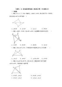 专题1.36 添加条件构造三角形全等（专项练习）-2022-2023学年八年级数学上册基础知识专项讲练（浙教版）