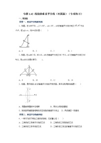 专题1.42 线段的垂直平分线（巩固篇）（专项练习）-2022-2023学年八年级数学上册基础知识专项讲练（浙教版）