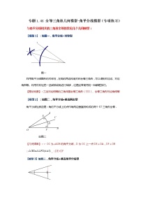 专题1.46 全等三角形几何模型-角平分线模型（专项练习）-2022-2023学年八年级数学上册基础知识专项讲练（浙教版）