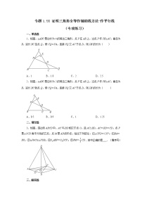 专题1.55 证明三角形全等作辅助线方法-作平行线（专项练习）-2022-2023学年八年级数学上册基础知识专项讲练（浙教版）