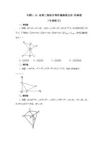 专题1.56 证明三角形全等作辅助线方法-作垂线（专项练习）-2022-2023学年八年级数学上册基础知识专项讲练（浙教版）