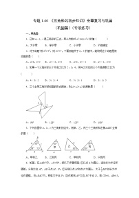 专题1.60 《三角形的初步知识》全章复习与巩固（巩固篇）（专项练习）-2022-2023学年八年级数学上册基础知识专项讲练（浙教版）