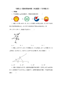 专题2.3 图形的轴对称（巩固篇）（专项练习）-2022-2023学年八年级数学上册基础知识专项讲练（浙教版）