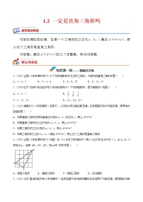 北师大版八年级上册2 一定是直角三角形吗习题