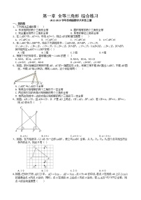 苏科版八年级上册第一章 全等三角形综合与测试巩固练习