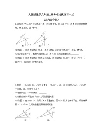 人教版数学八年级上册专项培优练习十三《几何综合题》（含答案）