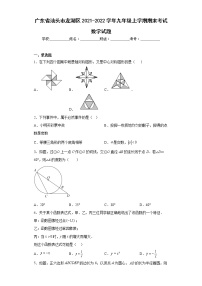 广东省汕头市龙湖区2021-2022学年九年级上学期期末考试数学试题(含答案)