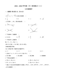 辽宁省葫芦岛市连山区2021-2022学年七年级下学期第三次月考数学试题(含答案)