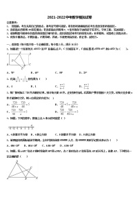 江苏省连云港市灌云县重点名校2021-2022学年中考数学最后冲刺浓缩精华卷含解析