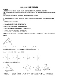 江苏省姜堰区张甸初级中学2022年中考数学模拟精编试卷含解析