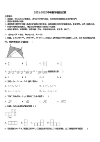 江苏省淮安市淮阴师范院附属中学2021-2022学年中考冲刺卷数学试题含解析