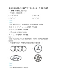 精品解析：2022年黑龙江省省龙东地区中考数学真题（解析版）