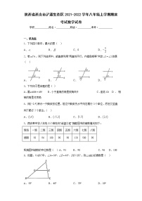 陕西省西安市浐灞生态区2021-2022学年八年级上学期期末考试数学试卷(含答案)