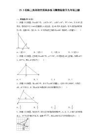 初中数学冀教版九年级上册25.5 相似三角形的性质习题