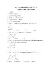 青岛版八年级上册第1章 全等三角形1.2 怎样判定三角形全等精品同步练习题