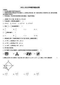 江苏省南京市江宁区湖熟片达标名校2021-2022学年中考数学模拟预测试卷含解析