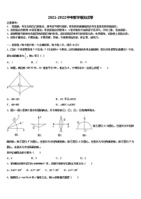 江苏省南京外国语校2021-2022学年中考数学模试卷含解析