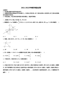 江苏省南通通州区重点中学2022年中考数学适应性模拟试题含解析