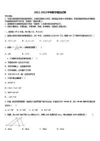 江苏省泰兴市老叶初级中学2022年中考数学最后冲刺模拟试卷含解析