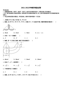 江苏省泰州市泰兴市黄桥中学2021-2022学年中考数学对点突破模拟试卷含解析