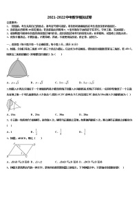 江苏省宿迁市沭阳县2021-2022学年中考数学全真模拟试题含解析